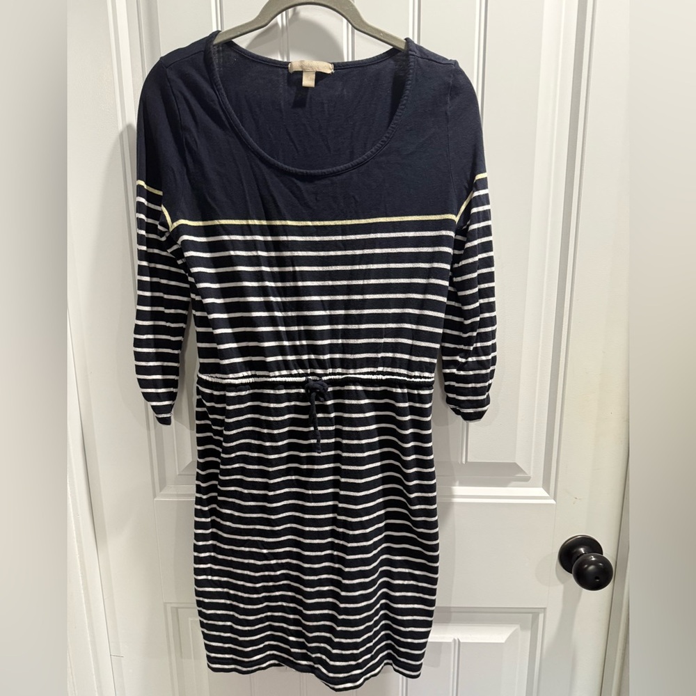 Banana Republic Navy Striped Dress